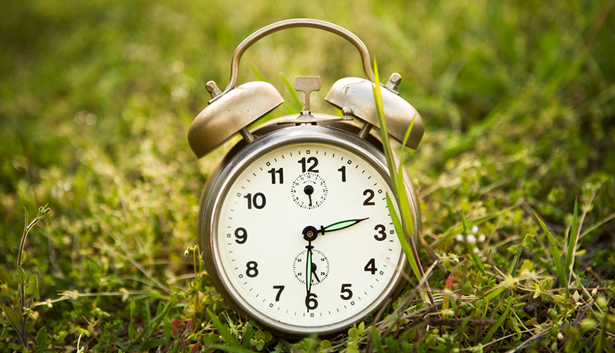 A vintage silver alarm clock with black numbers and two bells on top is placed on green grass, surrounded by small plants. The time on the clock shows approximately 10:10.