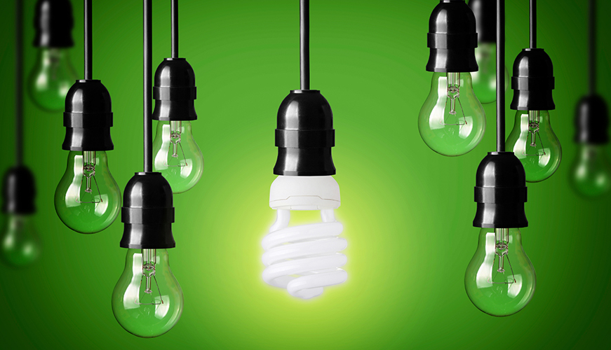 A spiral-shaped fluorescent bulb, illuminated in the center, stands out among several hanging unlit incandescent bulbs against a vibrant green background.