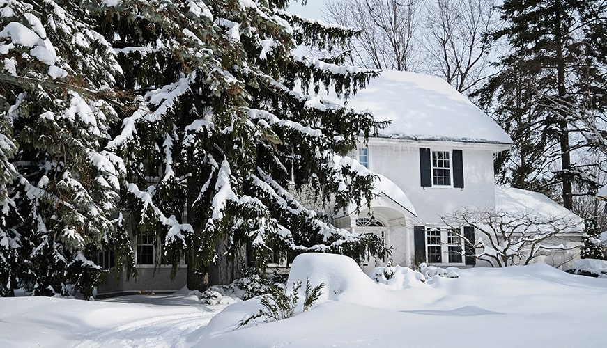 A snow-covered house is surrounded by tall trees laden with heavy snow. The white house features black shutters and a snow-capped roof. The yard is blanketed in deep, untouched snow, creating a serene winter scene.