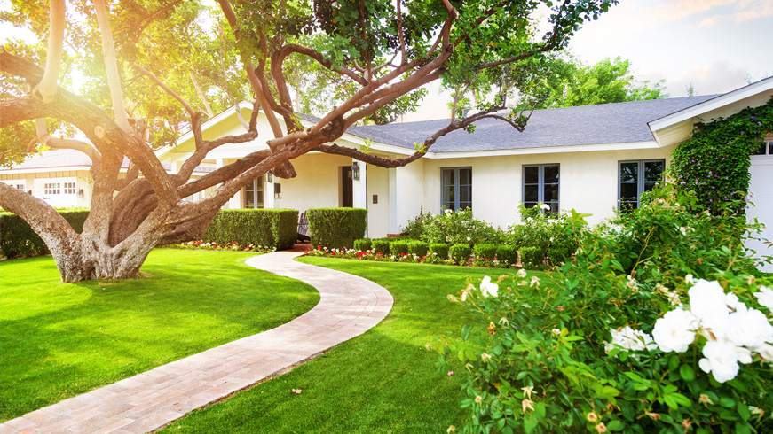 A charming single-story white house with a well-maintained garden. A brick pathway winds through lush green grass, leading to the entrance. A large tree with sprawling branches provides shade, while various flowering plants add pops of color.